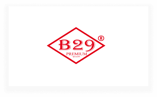 B29